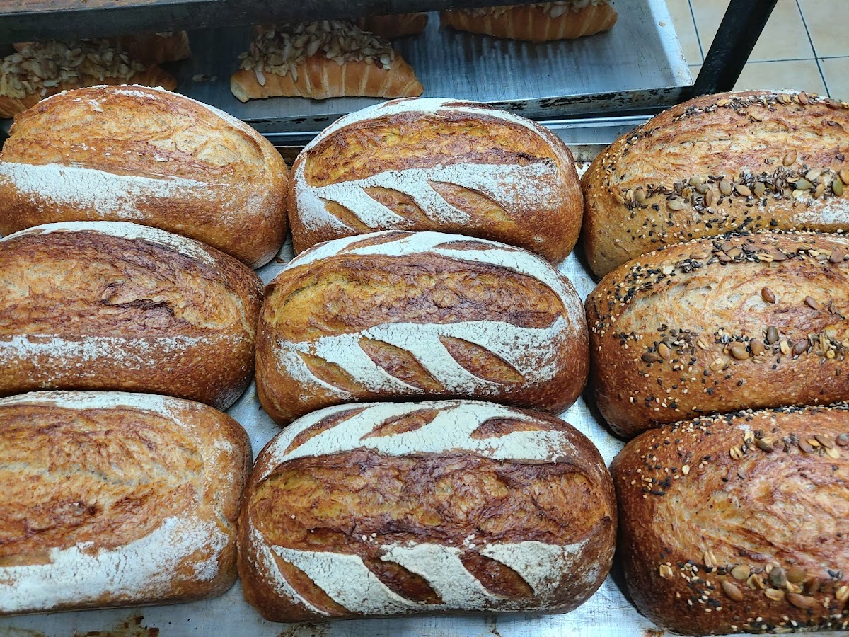 Levain savoury pie closeup